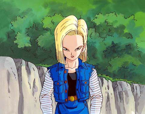 Otaku Gallery  / Anime e Manga / Dragon Ball / Cels / Androidi / andcel32.jpg